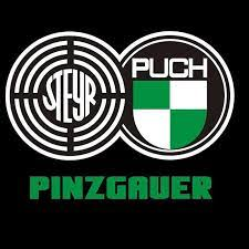 PINZGAUER